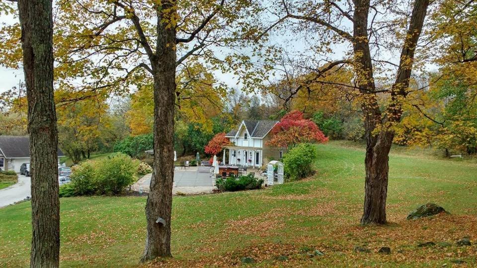 Clyde Hall Bed And Breakfast Lanark Esterno foto